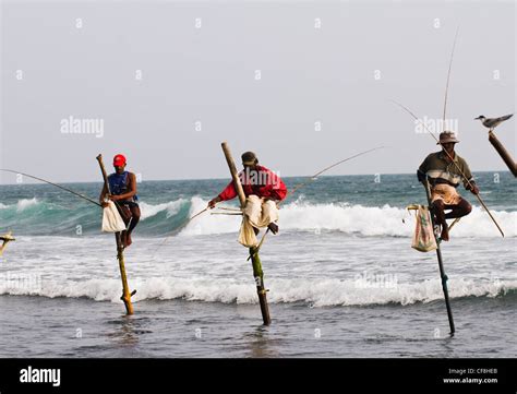 Stilt Fishing In Southern Sri Lanka Stock Photo Alamy