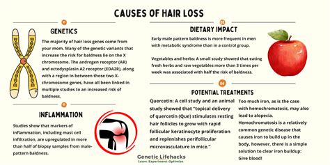 Genes For Balding How To Check Your Genetic Data