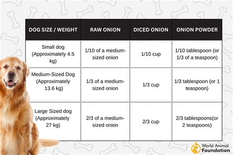 Dog Onion Toxicity Calculator & FAQs