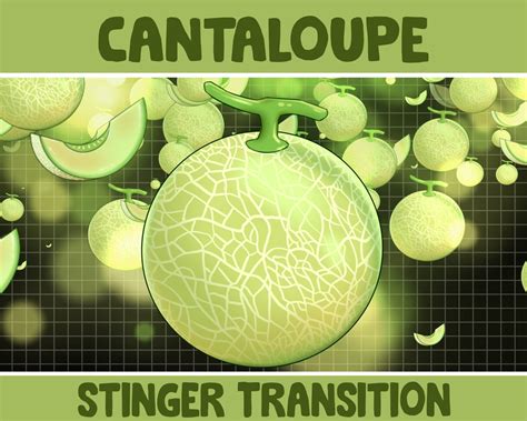 Animated Stream Stinger Transition Green Cantaloupe Fruit Scene