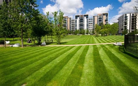 Inside The London 2012 Olympic Village