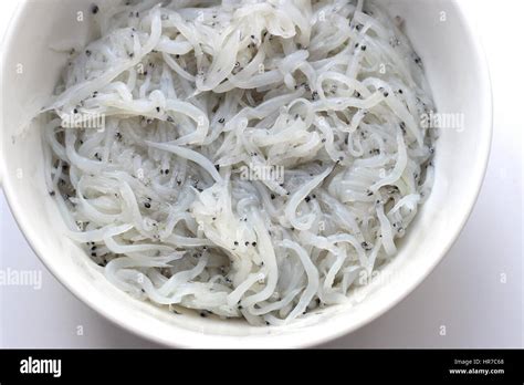 Fresh water silverfish hi-res stock photography and images - Alamy