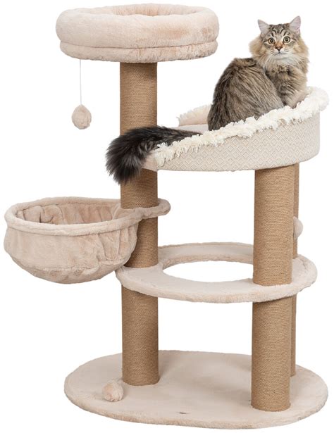 Cat Scratching Post Over 1 560 Royalty Free Licensable Stock