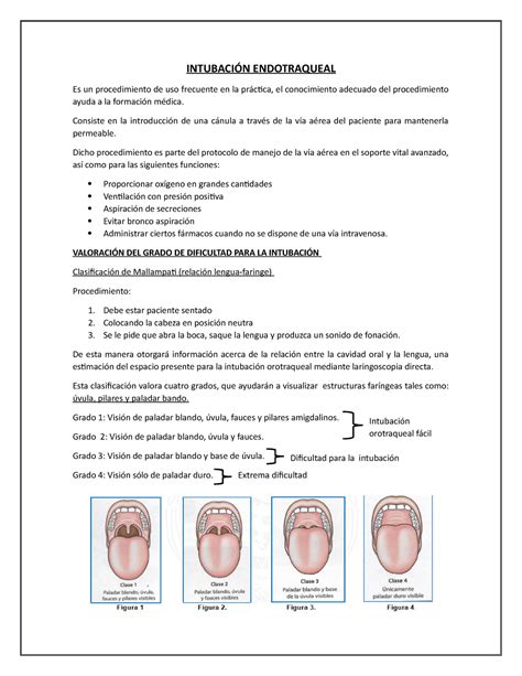 6 Intubación Endotraqueal INTUBACIÓN ENDOTRAQUEAL Es un