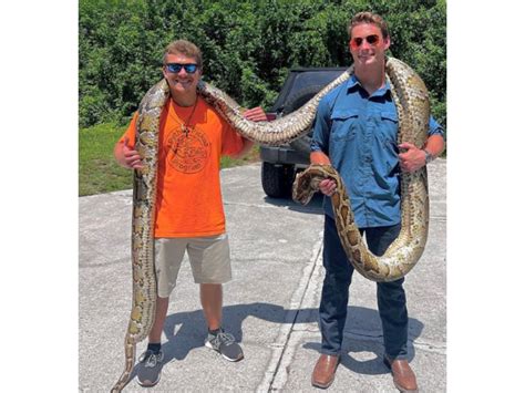 Fl Men Break World Record For Longest Burmese Python Ever Caught Sarasota Fl Patch