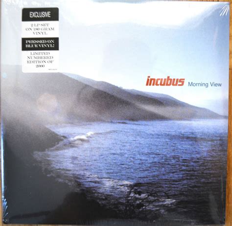 Incubus – Morning View (2015, Blue, Vinyl) - Discogs