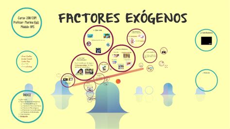 FACTORES EXÓGENOS by ikram elmaallem on Prezi