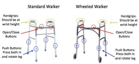 Walker - Physical Therapy 101