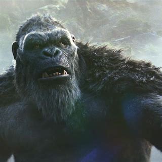 Godzilla ve Kong Yeni İmparatorluk 2024 Filmi Galerisi Box Office