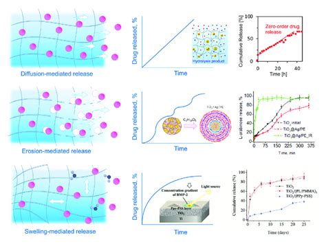 Mechanisms Of Release And Drug Diffusion Kinetics Drugs Can Diffuse