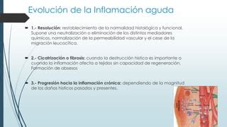 Bioquimica de la Inflamación PPT