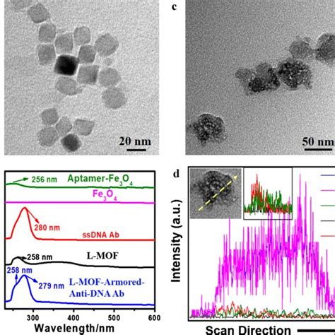 A Schematic for the label free reusable aptasensor detection of Aβ