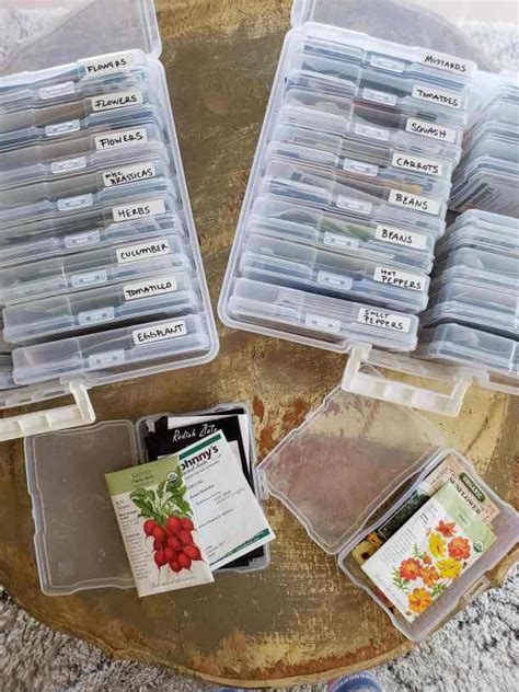 Seed Storage The Best Way To Store And Organize Garden Seeds Homestead