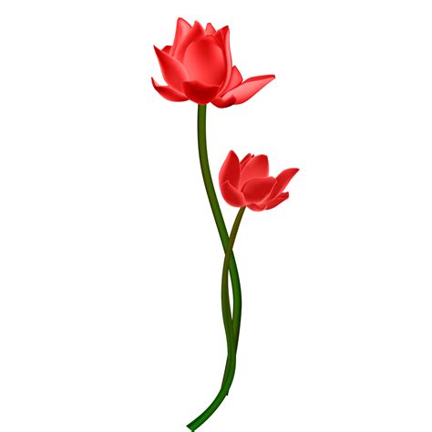 Free Red Lily Flower Png With Transparent Background