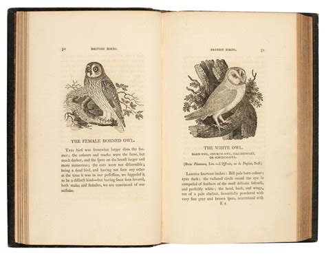 Thomas Bewick History Of British Birds 179718041821 2 Volumes