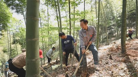 乡村振兴进行时 马鞍镇打造村集体经济发展联合体为乡村振兴添活力 部门乡镇 会同新闻网