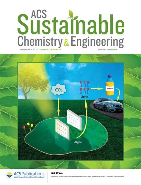 Dr Siu Tung Yau Published In Acs Sustainable Chemistry Engineering