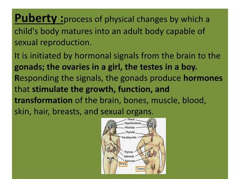 Ppt Puberty Powerpoint Presentation Free Download Id 2926394