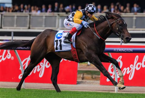 So You Think Colt Wins G3 Carbine Club | Breednet