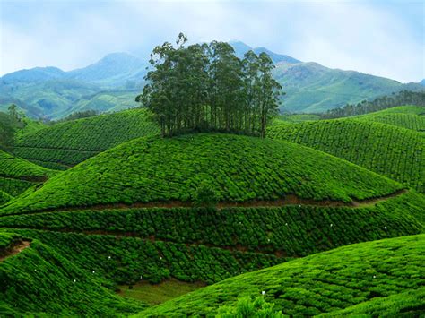 10 Top Places To Visit In Kerala Best Tourist Destinations In Kerala
