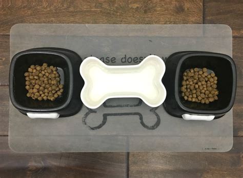 Dog Food Wood Tray Diy Dream Design Diy