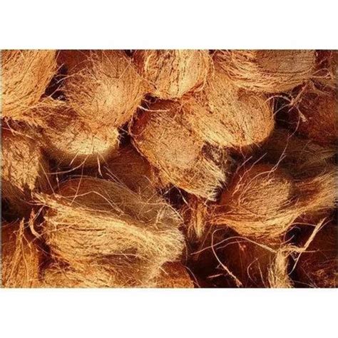 A Grade Solid Fresh Semi Husked Coconut Coconut Size Medium At Rs