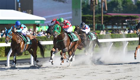 明日のメインレースは札幌11rエルムステークス GⅢ。土曜日のs評価軸馬は？ ブログ一覧 競馬予想の参考書 Iwagen