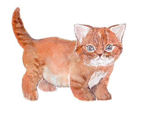 Katze Aquarell Skizze Farbe Tiere Illustration Stock Abbildung