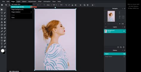 How To Resize An Image Or Layer In Pixlr Quick Steps