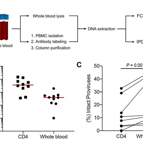 Levels Of Cell Associated Hiv Dna And Percentage Of Intact Proviruses