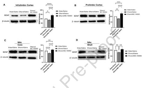 Figure 1 From Effects Of Novel GLT 1 Modulator MC 100093 On