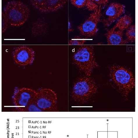 Figure S5 Confocal Microscopy Of PANC 1 And AsPc 1 Cells Incubated