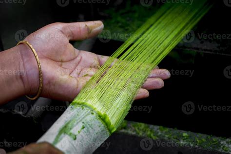 Fiber Is Being Made From The Pineapple Tree Leaves A Hand And Unwashed