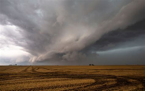 Springfield IL weather: Fall on pace for warmest October ever for area