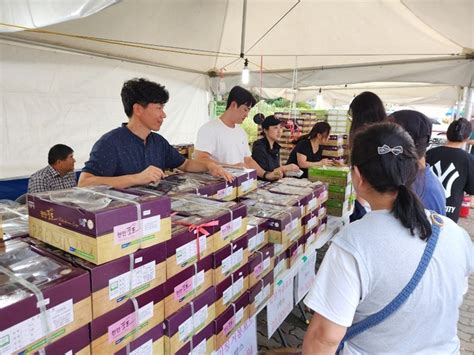 천안 입장농협 ‘입장거봉포도축제 성황리에 개최