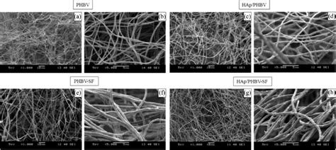 Sem Images Nanofibrous Cotton Wool Like Scaffolds Download