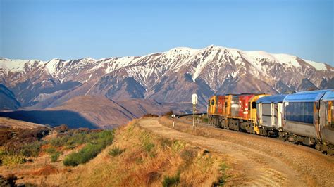 TranzAlpine Train Great Journeys NZ Official