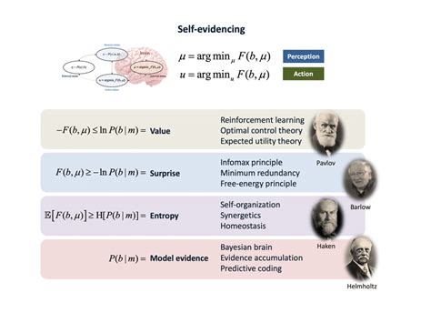 Markov Blankets And Self Evidencing This Schematic Illustrates The Download Scientific Diagram