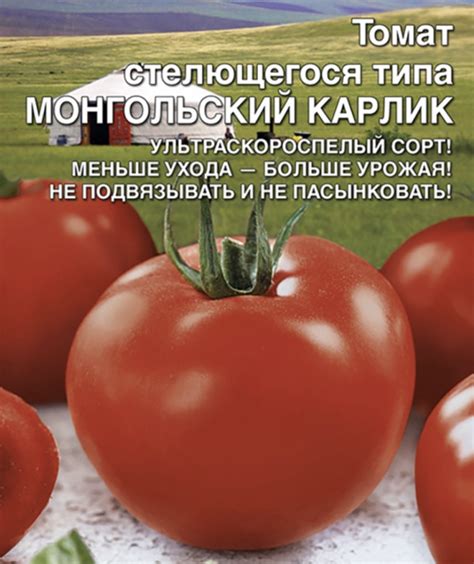 Мир семян - доставка семян по городу и области