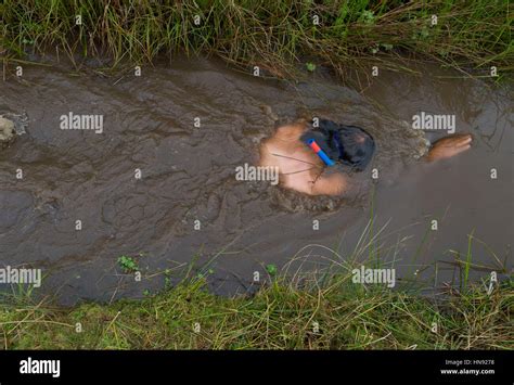 Mud bog hi-res stock photography and images - Alamy