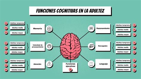 Funciones Cognitivas En La Adultez