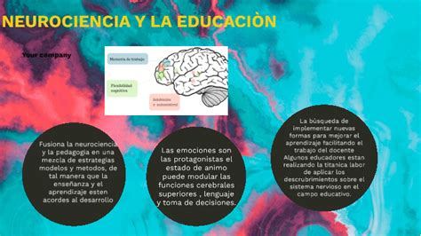 La Importancia De La Neurociencia En La EducaciÓn By Rayza Zarzosa Camones On Prezi