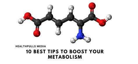 10 Best Tips To Boost Your Metabolism Healthpulls