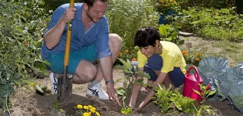 Comment cultiver votre potager tout au long de l année Jardindivert