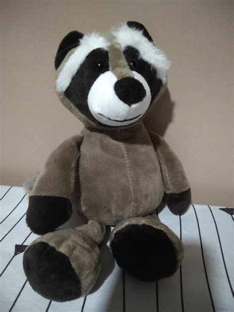 A Raccoon Stuffed Toy Named Rocky Rraccoons