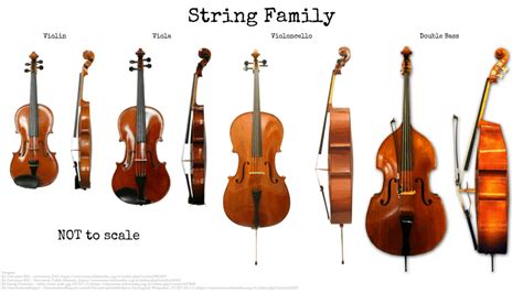 String Instruments – The Complete Guide – soundtrack.academy