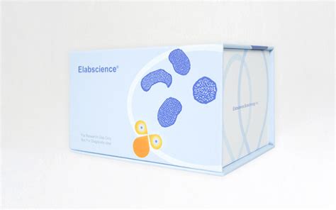 Apoptosis Kit