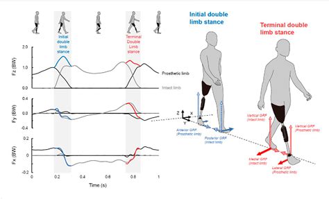 Figure From Ground Reaction Forces During Double Limb Stances While