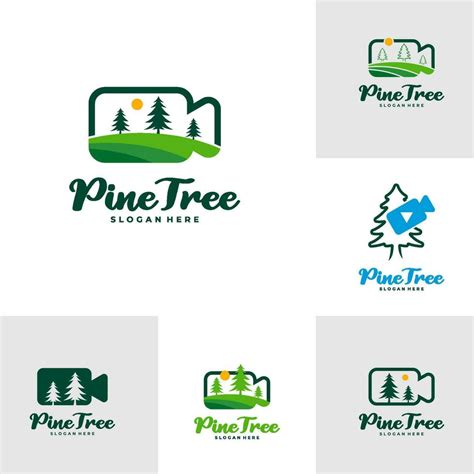 Set Of Pine Tree With Camera Logo Design Vector Creative Pine Tree