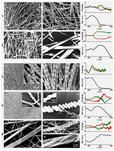 Scanning Electron Microscopy Sem Images Of Fibers Grown On Glass From